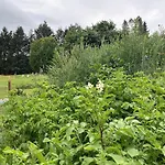 Oeko-fachwerkhaus Am Schwarzwald Appartement *